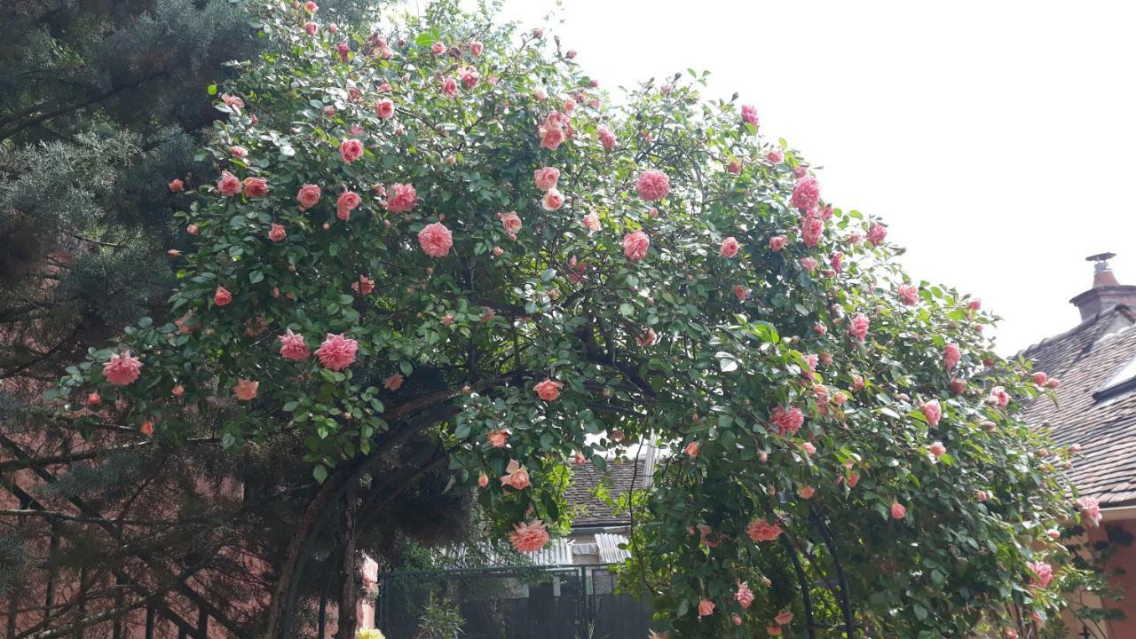La Maison Rose: Lieu Atypique Hotel Nemours Luaran gambar